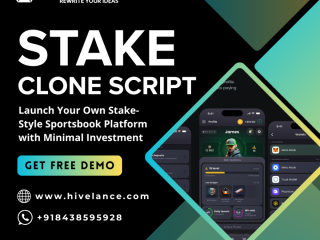 Ready-Made Stake Clone Software for iGaming Businesses