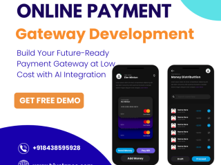 Custom Online Payment Gateway Development Solutions – Hivelance