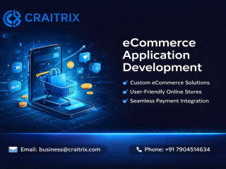 Grow Your Sales Online – Custom E-Commerce Solutions by Craitrix