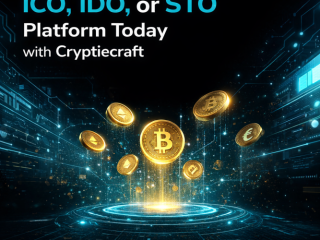 Launch Your Crypto Project with ICO, IDO & STO Solutions by Cryptiecraft