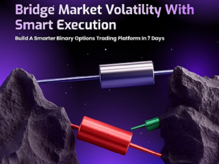 Best Binary Option Trading Software for Startups and Enterprises