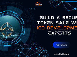 Build a Secure Token Sale with ICO Development Experts