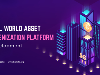 Real World Asset Tokenization Platform Development